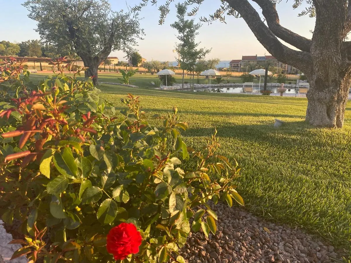 Farm stay Agriturismo Ortaglia Bardolino